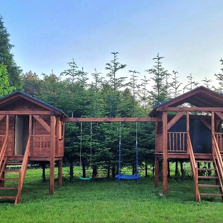 Apartament Roztoczańska Ostoja Adamow  Zewnętrze zdjęcie