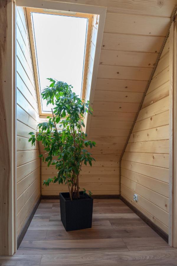 Apartament Roztoczańska Ostoja Adamow  Zewnętrze zdjęcie
